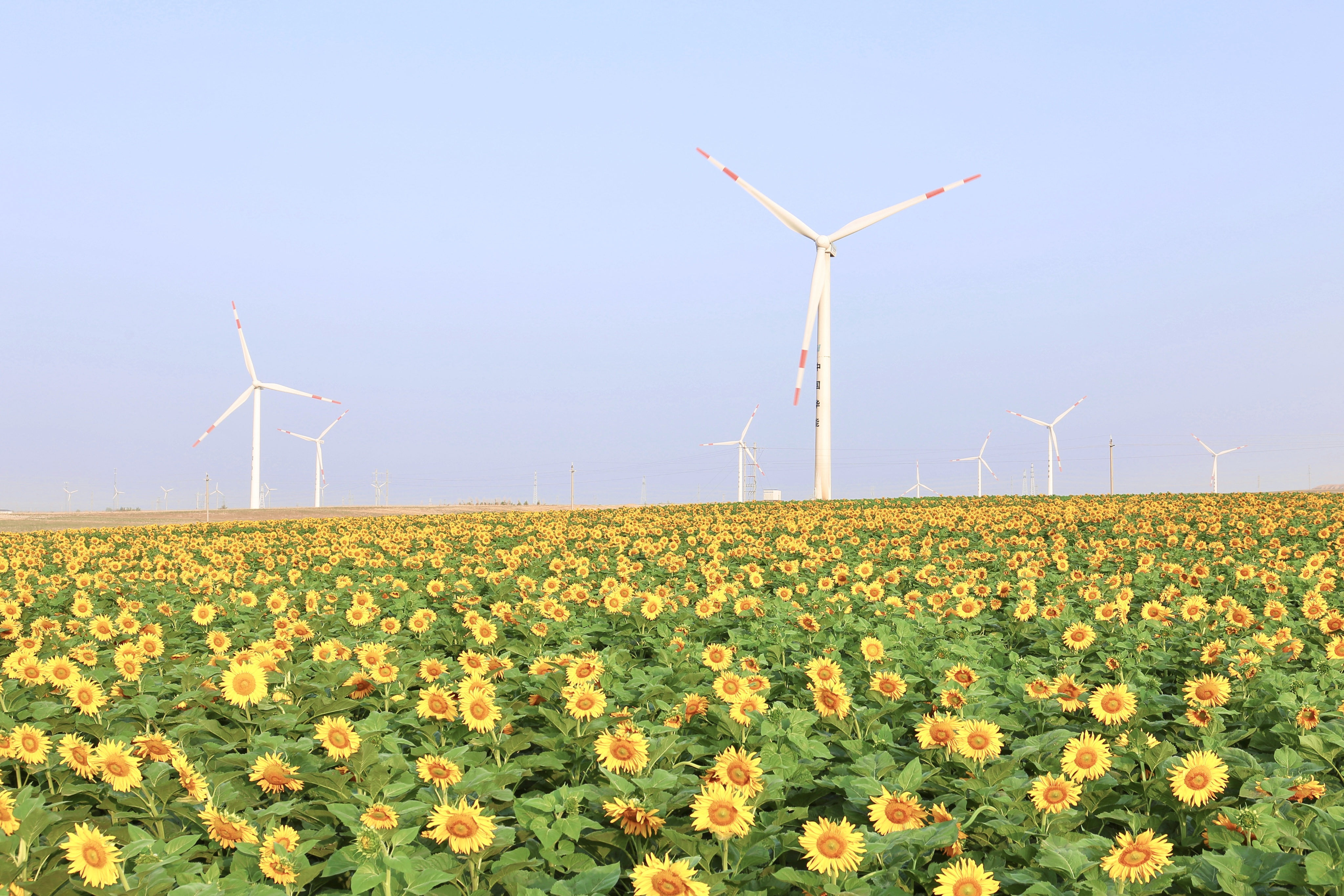 918博天堂股份助力推动风电场控制技术国际研发项目顺利实施